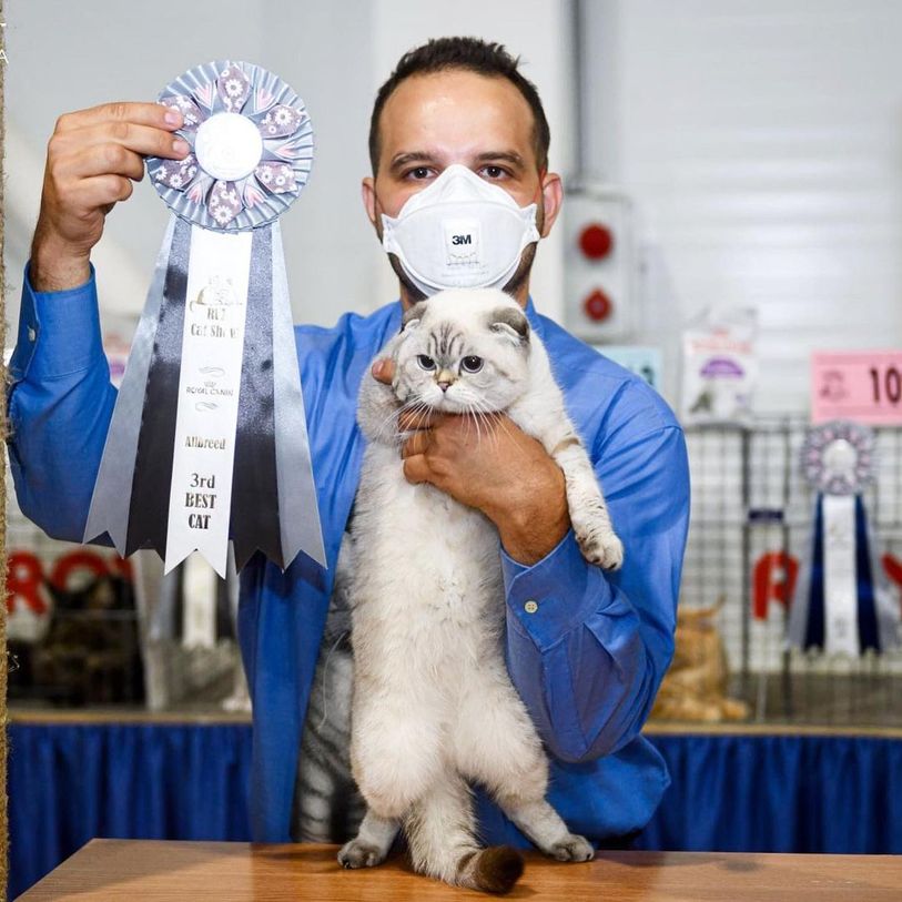 Our cat receives an award - 3rd place